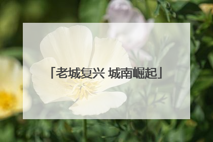 老城复兴 城南崛起