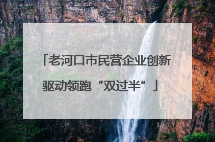 老河口市民营企业创新驱动领跑“双过半”