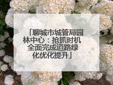 聊城市城管局园林中心：抢抓时机 全面完成道路绿化优化提升
