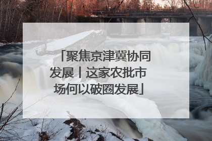 聚焦京津冀协同发展丨这家农批市场何以破圈发展