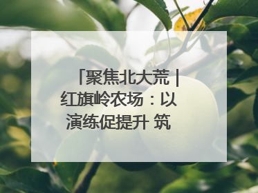 聚焦北大荒｜红旗岭农场：以演练促提升 筑牢平安基石