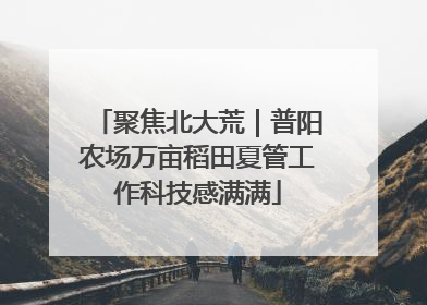 聚焦北大荒｜普阳农场万亩稻田夏管工作科技感满满