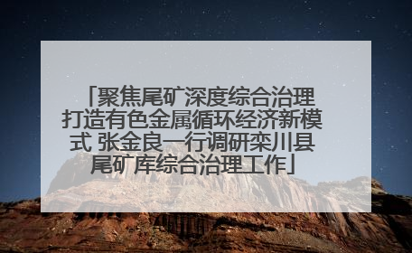 聚焦尾矿深度综合治理 打造有色金属循环经济新模式 张金良一行调研栾川县尾矿库综合治理工作