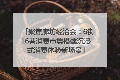 聚焦廊坊经洽会：6街16巷消费市集搭建沉浸式消费体验新场景
