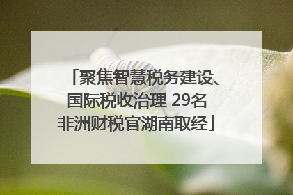 聚焦智慧税务建设、国际税收治理 29名非洲财税官湖南取经