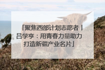 聚焦西部计划志愿者丨吕学亨：用青春力量助力打造新疆产业名片