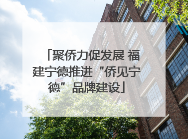 聚侨力促发展 福建宁德推进“侨见宁德”品牌建设