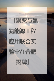 聚变与氢氨能源工程应用联合实验室在合肥揭牌