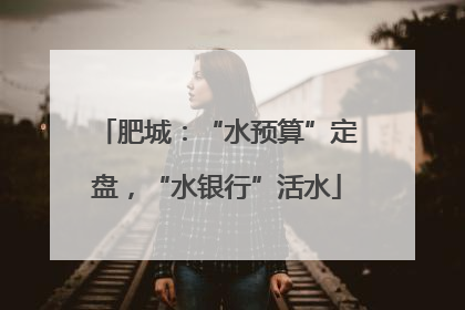 肥城：“水预算”定盘，“水银行”活水