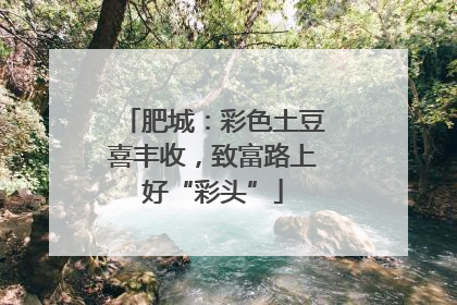肥城：彩色土豆喜丰收，致富路上好“彩头”