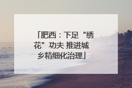 肥西：下足“绣花”功夫 推进城乡精细化治理