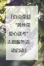 自贡荣县：“黄丝带爱心送考”志愿服务活动启动