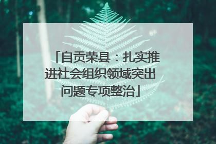 自贡荣县：扎实推进社会组织领域突出问题专项整治