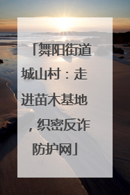 舞阳街道城山村：走进苗木基地，织密反诈防护网