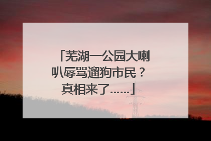 芜湖一公园大喇叭辱骂遛狗市民？真相来了……