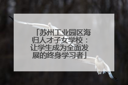 苏州工业园区海归人才子女学校：让学生成为全面发展的终身学习者