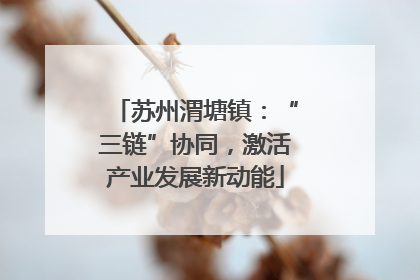 苏州渭塘镇：“三链”协同，激活产业发展新动能
