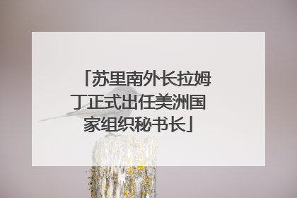 苏里南外长拉姆丁正式出任美洲国家组织秘书长