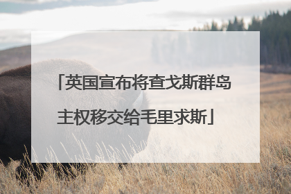 英国宣布将查戈斯群岛主权移交给毛里求斯