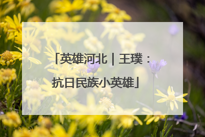 英雄河北｜王璞：抗日民族小英雄