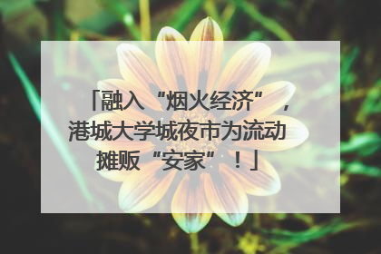 融入“烟火经济”，港城大学城夜市为流动摊贩“安家”！