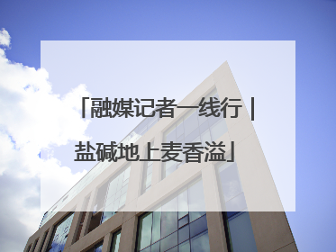 融媒记者一线行｜盐碱地上麦香溢