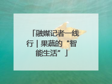 融媒记者一线行｜果蔬的“智能生活”