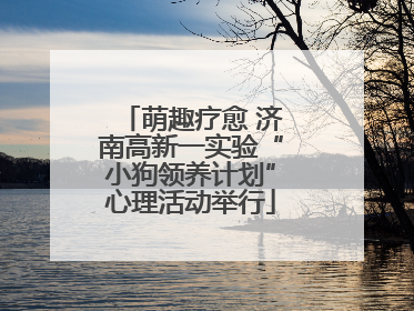 萌趣疗愈 济南高新一实验“小狗领养计划”心理活动举行