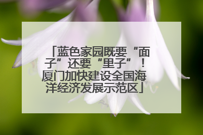 蓝色家园既要“面子”还要“里子”！厦门加快建设全国海洋经济发展示范区
