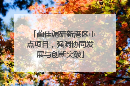 蔺佳调研新港区重点项目，强调协同发展与创新突破