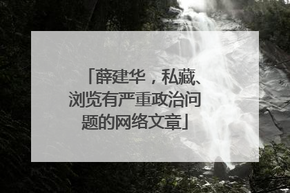 薛建华，私藏、浏览有严重政治问题的网络文章