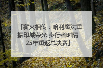 薪火相传：哈利魔法重振印城荣光 步行者时隔25年重返总决赛