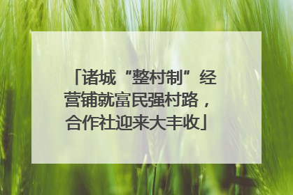 诸城“整村制”经营铺就富民强村路，合作社迎来大丰收