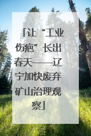 让“工业伤疤”长出春天——辽宁加快废弃矿山治理观察