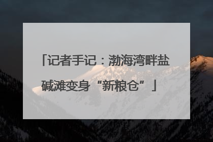 记者手记：渤海湾畔盐碱滩变身“新粮仓”