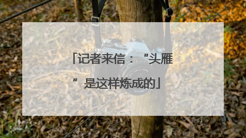 记者来信：“头雁”是这样炼成的