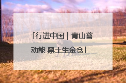 行进中国｜青山蓄动能 黑土生金仓