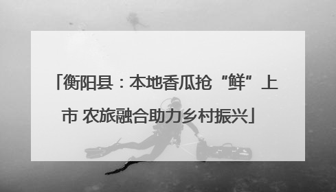 衡阳县：本地香瓜抢“鲜”上市 农旅融合助力乡村振兴
