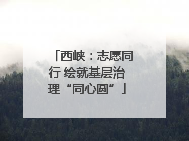 西峡：志愿同行 绘就基层治理“同心圆”
