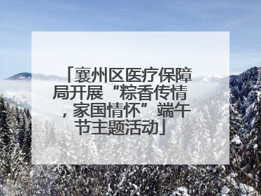 襄州区医疗保障局开展“粽香传情，家国情怀”端午节主题活动