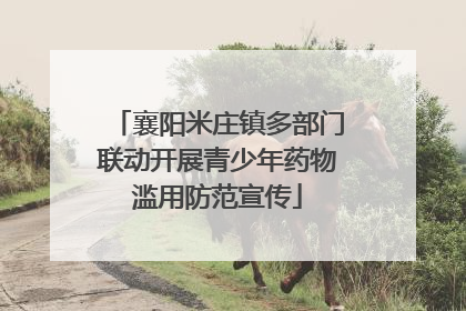 襄阳米庄镇多部门联动开展青少年药物滥用防范宣传