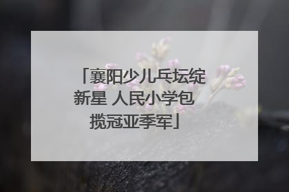 襄阳少儿乓坛绽新星 人民小学包揽冠亚季军
