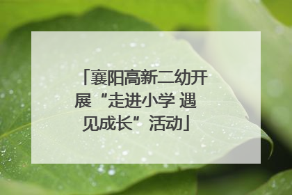襄阳高新二幼开展“走进小学 遇见成长”活动