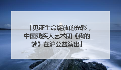见证生命绽放的光彩，中国残疾人艺术团《我的梦》在沪公益演出