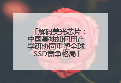 解码美光芯片：中国基地如何用产学研协同重塑全球SSD竞争格局