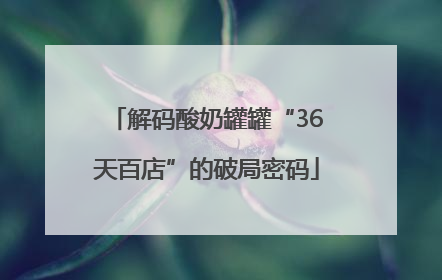 解码酸奶罐罐“36天百店”的破局密码