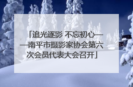 追光逐影 不忘初心——南平市摄影家协会第六次会员代表大会召开
