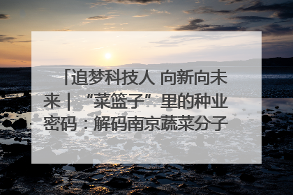 追梦科技人 向新向未来｜“菜篮子”里的种业密码：解码南京蔬菜分子育种的创新之路