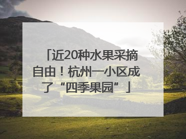 近20种水果采摘自由！杭州一小区成了“四季果园”