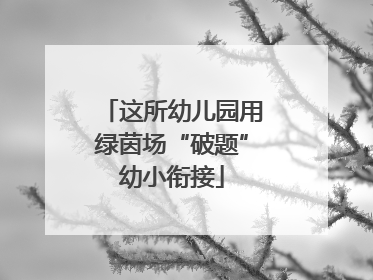 这所幼儿园用绿茵场“破题”幼小衔接